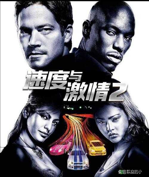 两个男人的激情碰撞:速度与激情的较量