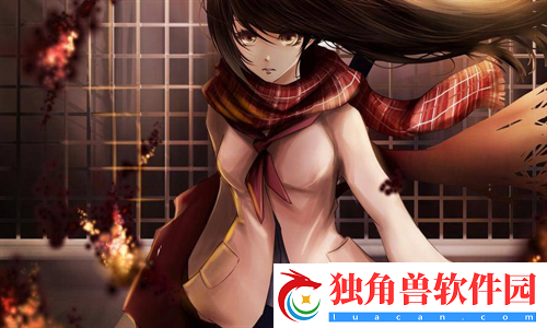 妖精动漫官方登录页面入口下拉:探究登录体验的优化之路