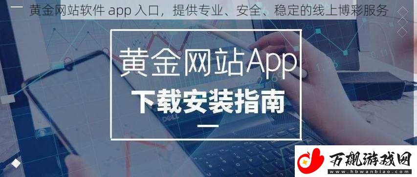 黄金网站软件