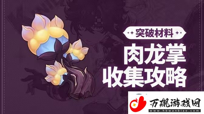 原神肉龙掌采集路线大全-最新96个肉龙掌材料收集汇总