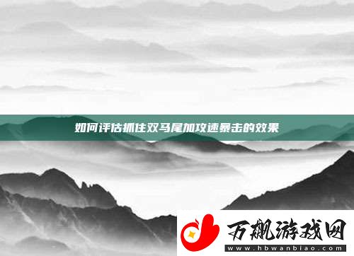 如何评估抓住双马尾加攻速暴击的效果