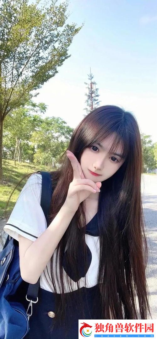 卧龙吟6级兵种详解