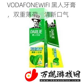 VODAFONEWIFI-黑人牙膏-双重薄荷-清新口气