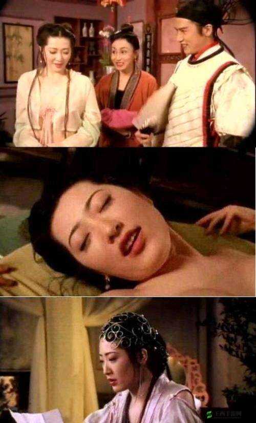 金瓶梅游戏:体验古代风月人生