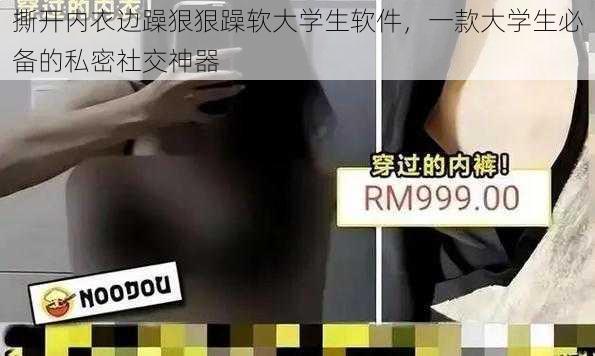 撕开内衣边躁狠狠躁软大学生软件,一款大学生必备的私密社交神器