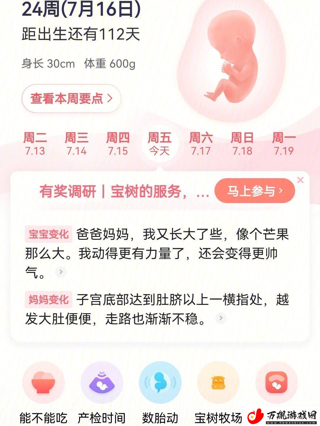 毛毛乐乐葆葆的另类成长手册：创新热潮中的诡异指南