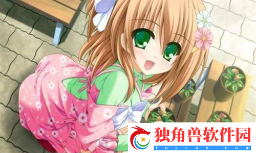 欧洲码日本码专线的文化魅力