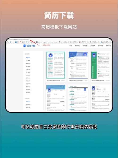 成品动漫网站入口网页版怎样打开，网友表示：
