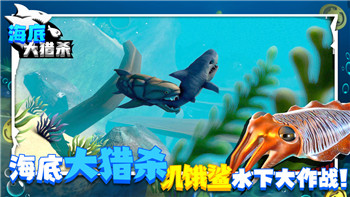 王国纪元猎魔英雄搭配最新阵容图