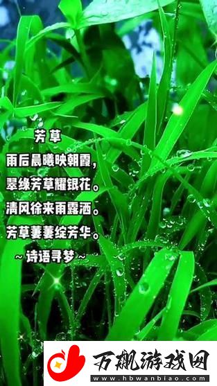 离离原上草-一岁一枯荣