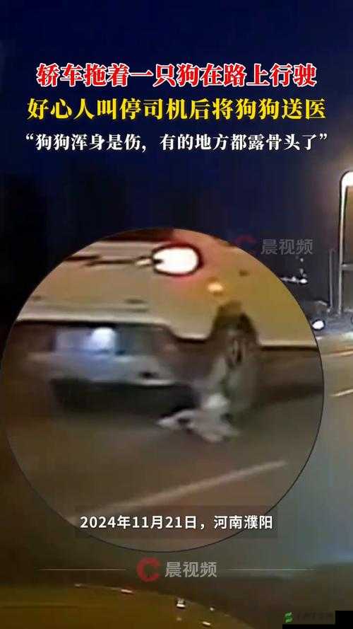 今天晚上让你哭着喊停小车：太震撼