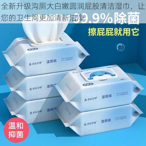 全新升级沟厕大白嫩圆润屁股清洁湿巾,让您的卫生间更加清新洁净