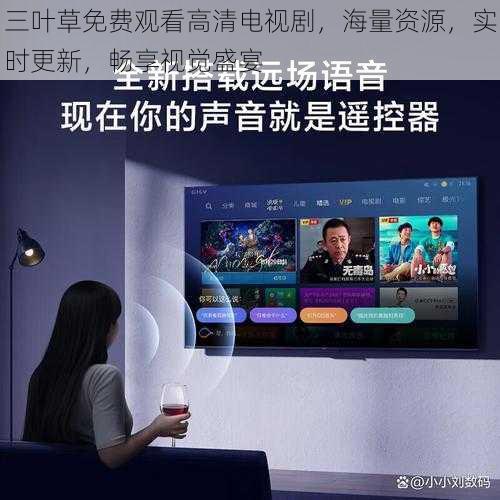 三叶草免费观看高清电视剧,海量资源,实时更新,畅享视觉盛宴