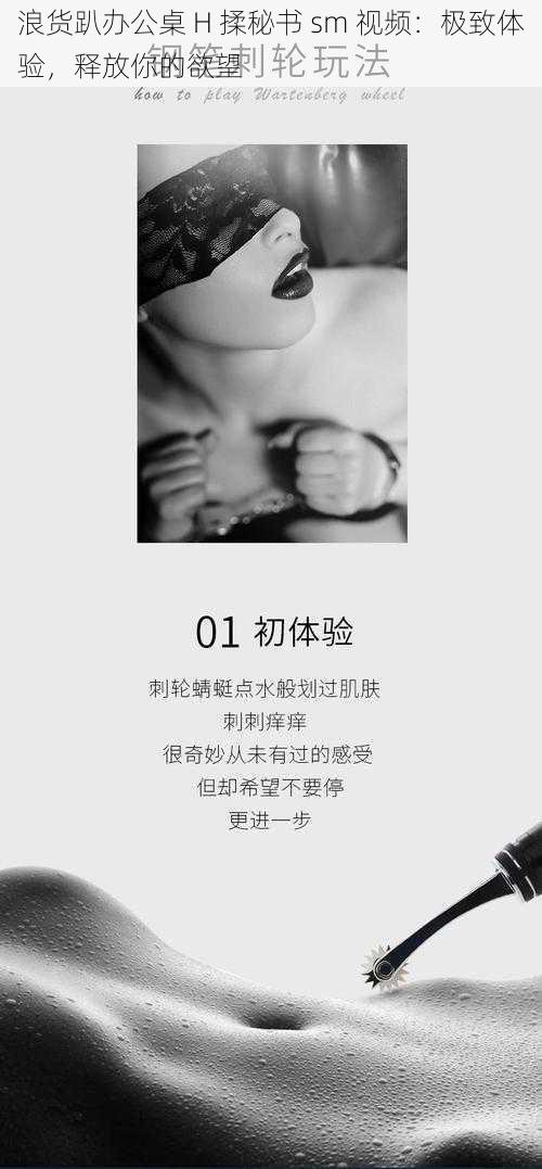 浪货趴办公桌 H 揉秘书 sm 视频:极致体验,释放你的欲望