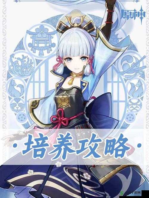 原神3.5版本绫华角色深度分析:优缺点解析与抽取建议,值不值得入手?