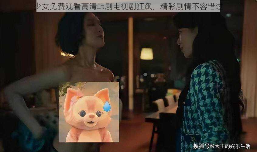 少女免费观看高清韩剧电视剧狂飙,精彩剧情不容错过