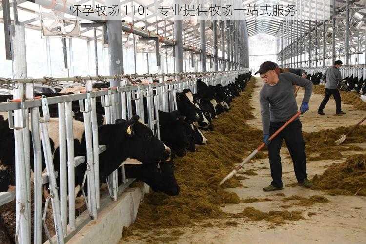 怀孕牧场 110:专业提供牧场一站式服务