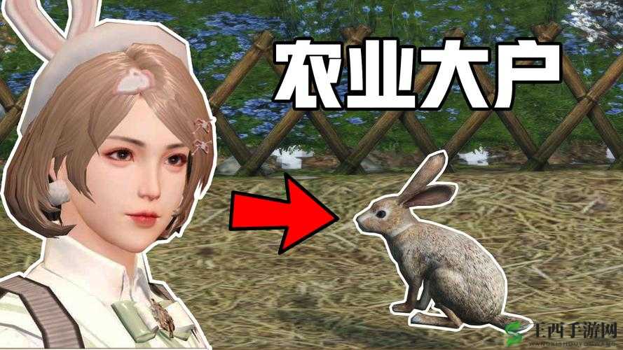 明日之后兔子作用揭秘:生存游戏中的珍贵资源与利用策略