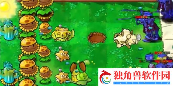 植物大战僵尸杂交版迷你游戏满屋蒜香怎么过