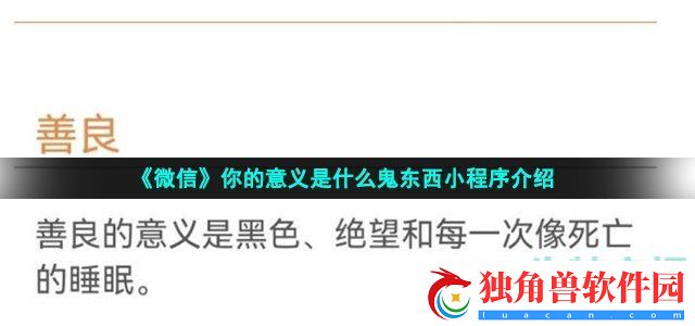 你的意义是什么小程序
