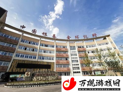 综一中狂想曲：网民热议下的科技圈怪现状