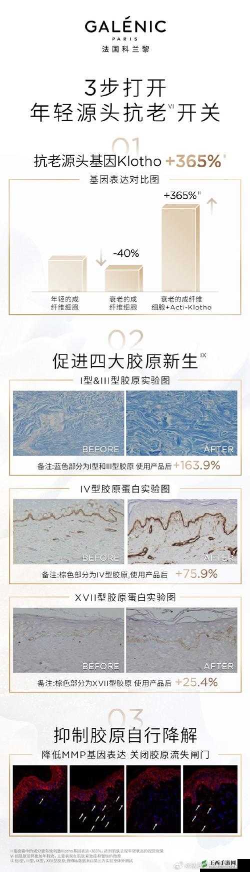 欧亚专线欧洲 s 码 wmy 卓越拓展：开创商业新格局