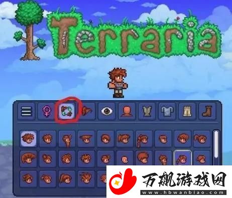 泰拉瑞亚怎么捏脸才能好看捏脸好看方法
