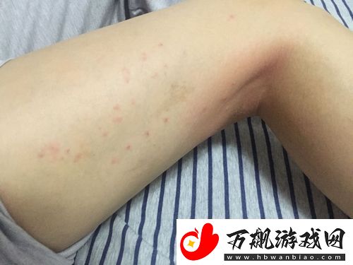 淑芬二腿间又痒了