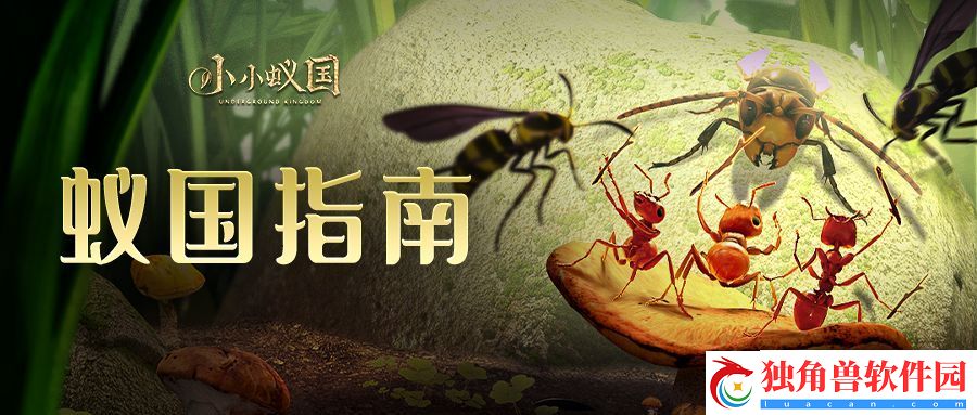 小小蚁国哥斯拉野怪