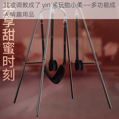 我被**成了 yin 荡玩物小柔——多功能成人情趣用品