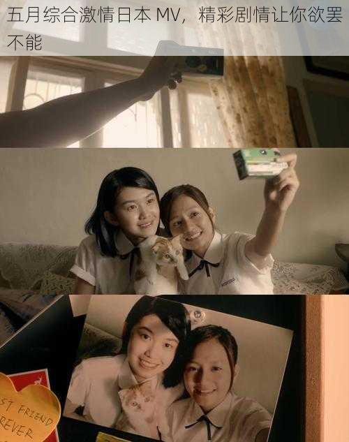 五月综合激情日本 MV,精彩剧情让你欲罢不能