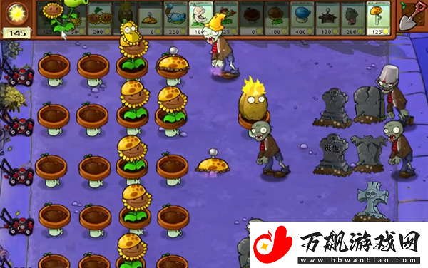 植物大战僵尸杂交版冒险9关怎么过
