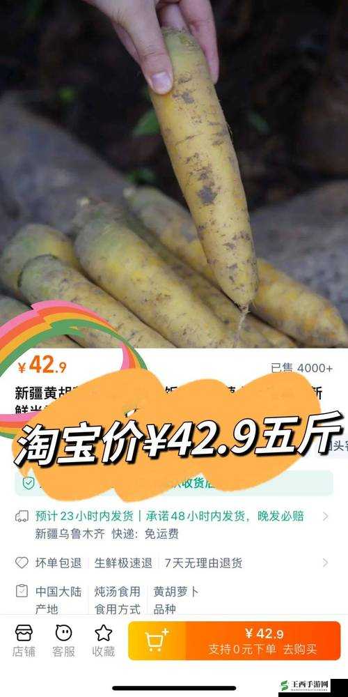 黄 WWW 禁止男女萝卜:探索未知的世界