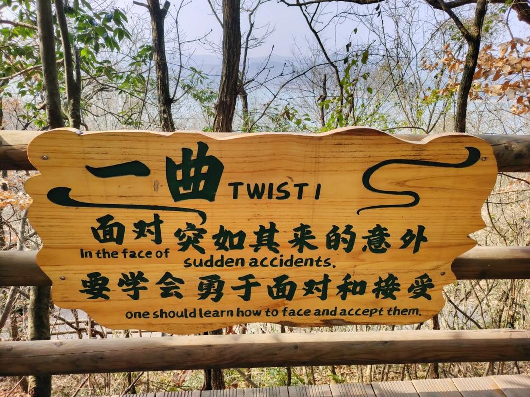 桂花婶的宝贝可是9曲18弯-网友：我也是这个风格的