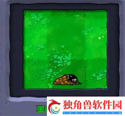 植物大战僵尸杂交版高强度的僵尸有哪些效果都是什么呢