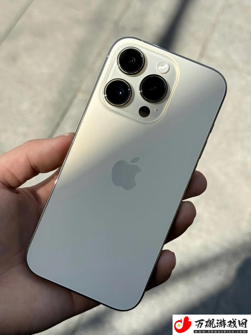 俄罗斯iPhone