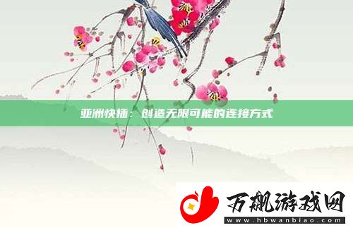亚洲快插：创造无限可能的连接方式