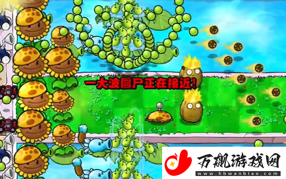 植物大战僵尸杂交版冒险模式第十五关怎么过