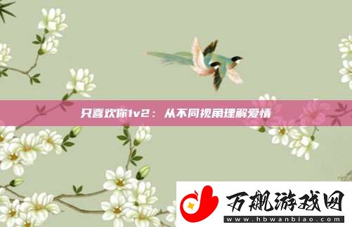 只喜欢你1v2：从不同视角理解爱情