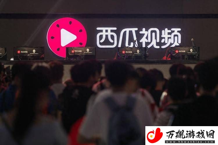 探寻最好看的免费观看西瓜：畅享视觉与味觉的双重体验