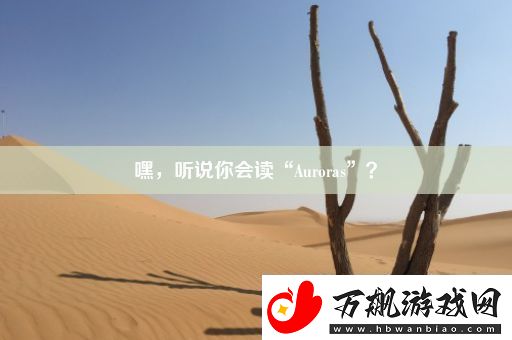 嘿-听说你会读“Auroras”