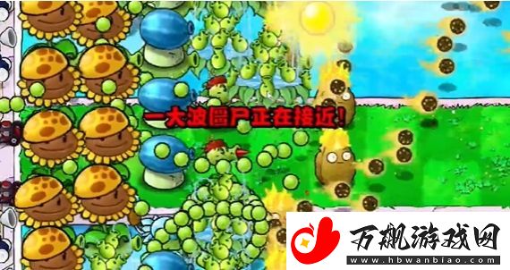 植物大战僵尸杂交版冒险模式第十五关怎么过