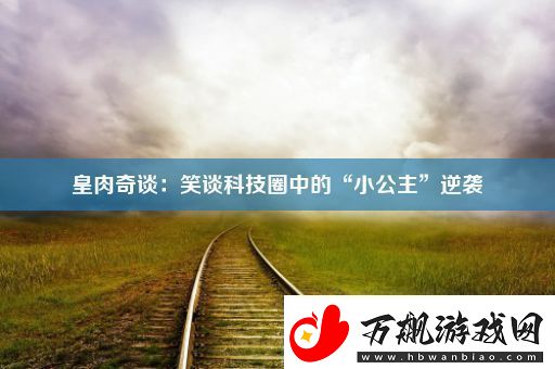 皇肉奇谈：笑谈科技圈中的“小公主”逆袭