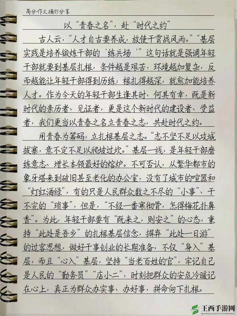 《以闪亮之名清洁攻略：提升清洁度方法与技巧》