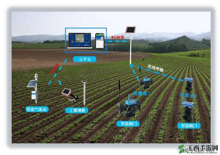 JING 液灌溉系统高效利用新探索