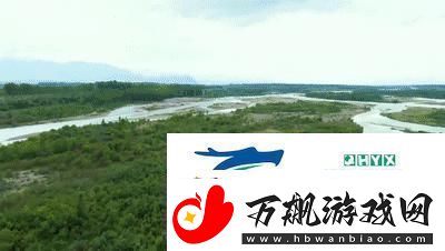 探索免费X站的宝藏：发现无限可能