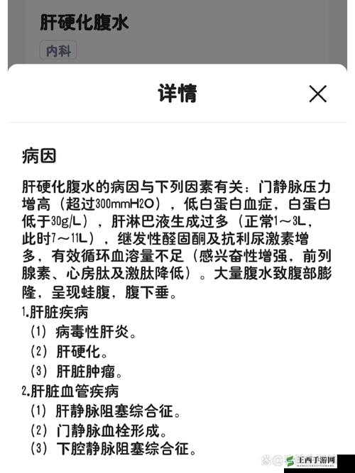 办公室强肝的播出方式与评价:深度解析