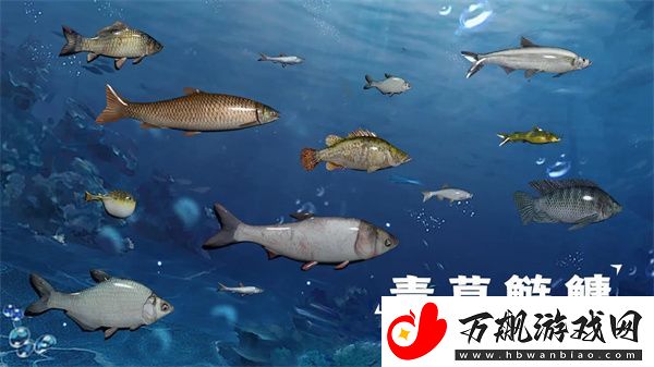 天天钓鱼水族馆鱼收入是怎么算的
