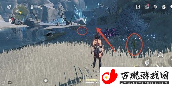 鸣潮傲寒钟采集路线图傲寒钟哪里多第1页