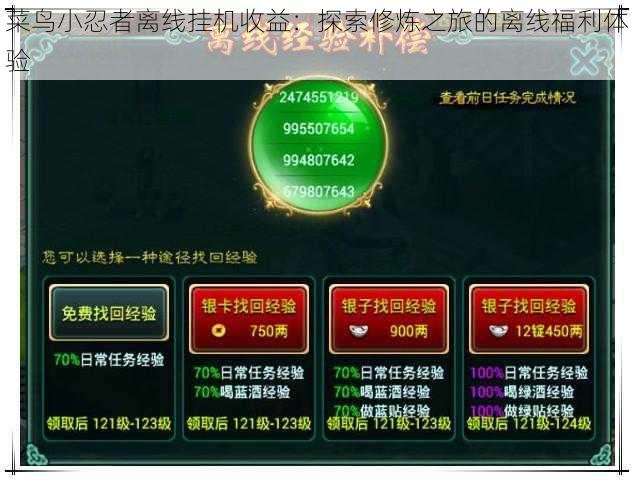 菜鸟小忍者离线挂机收益：探索修炼之旅的离线福利体验